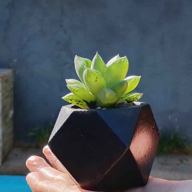 Creaciones de Verde Butik · imagen 2
